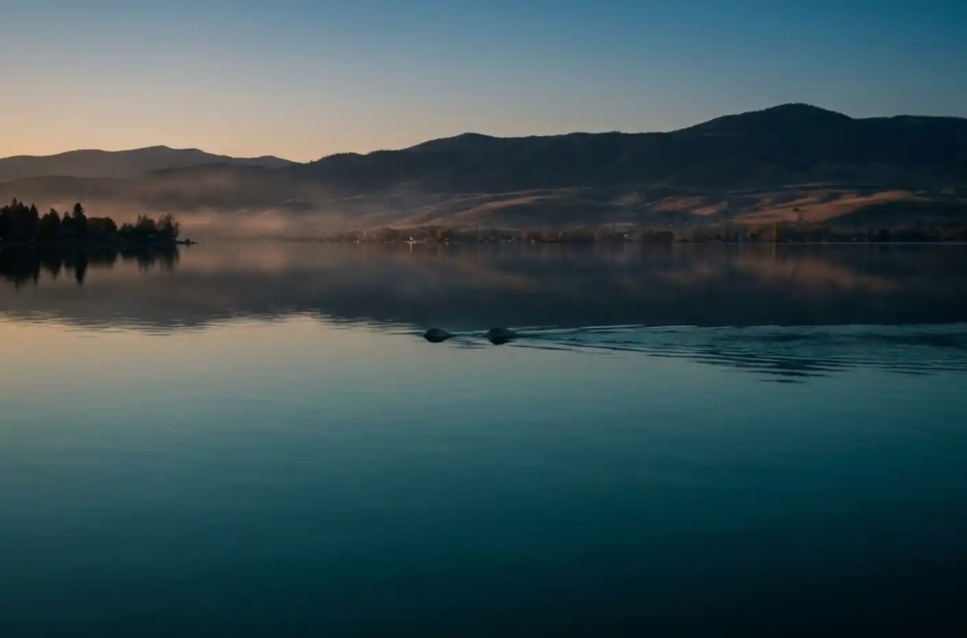 Two dark humps and a serpentine wake breaking the calm surface of Bear Lake at dusk, mountains behind.