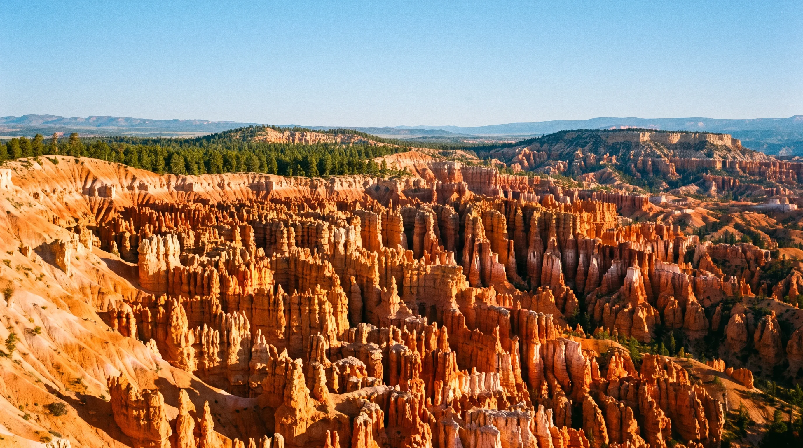 Thousands of orange and red stone spire formations called hoodoos densely filling a natural amphitheater at Bryce Canyon National Park, Utah, glowing at sunrise.