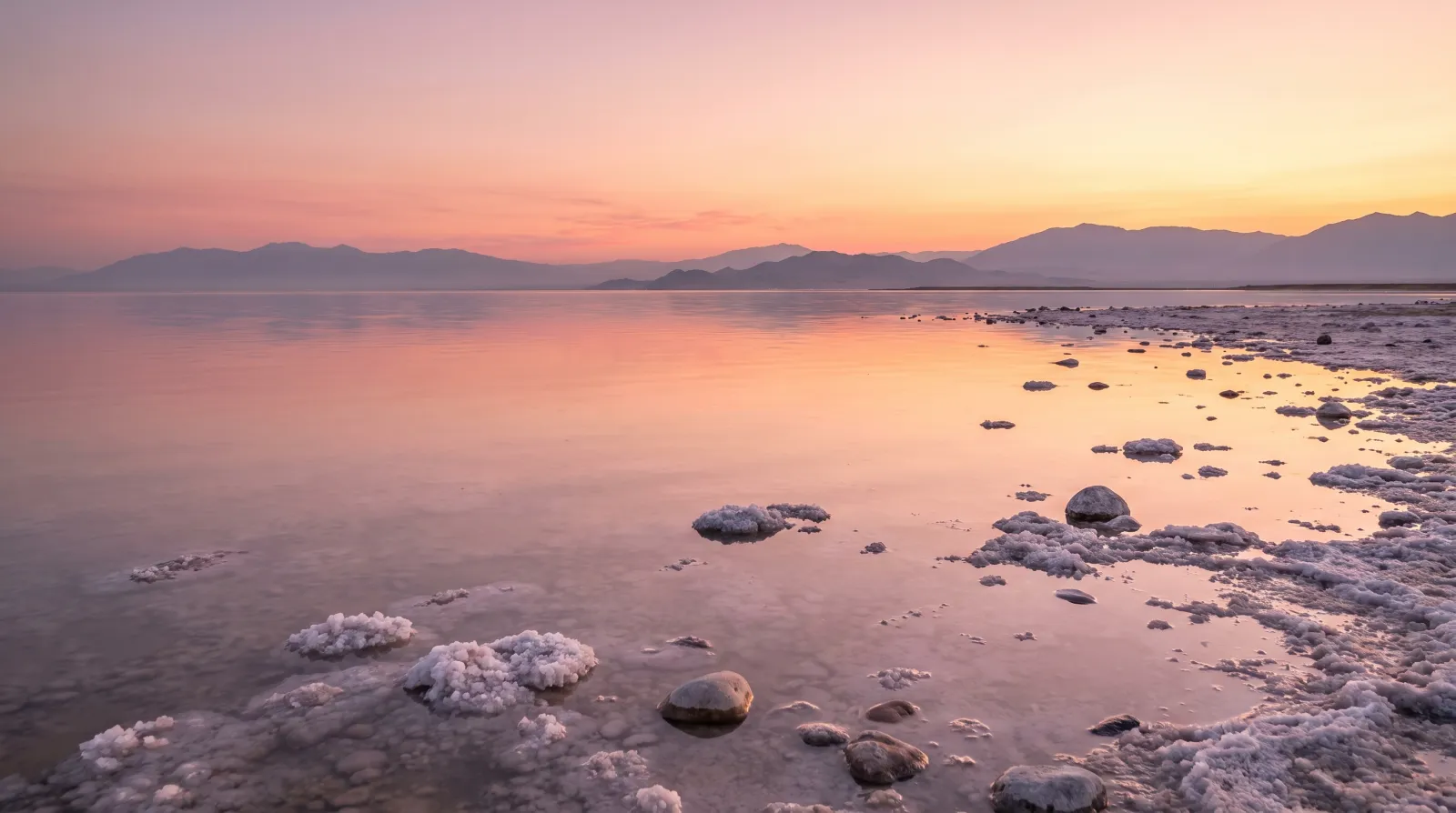 Golden-hour view of the Great Salt Lake's shoreline in Utah, where brine shrimp cysts are harvested each winter for the global aquaculture industry.