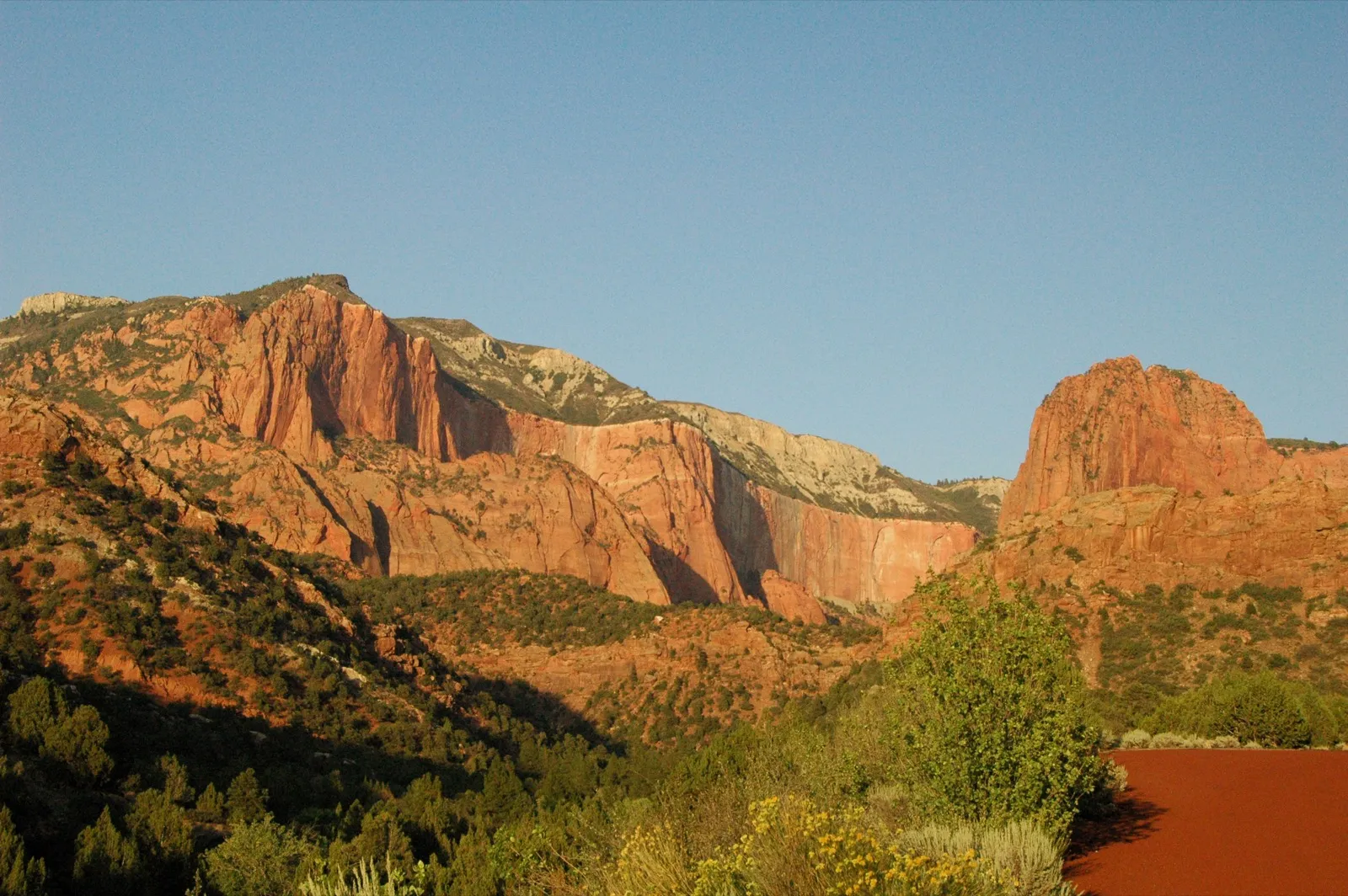 Golden-hour light on the red sandstone finger canyons of Kolob Canyons in the northwest corner of Zion National Park, with green foreground brush under a clear blue sky.