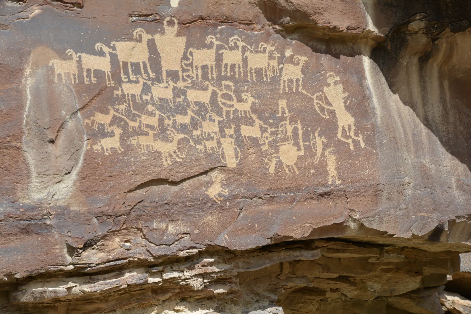 The Great Hunt Panel in Nine Mile Canyon — dozens of bighorn sheep and human figures pecked into desert-varnished sandstone.