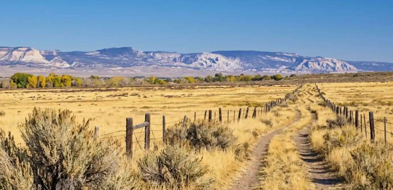 A dirt two-track runs along a weathered barbed-wire fence line across golden sagebrush flats toward snow-streaked high-desert mountains under a clear sky in Utah's Uinta Basin.