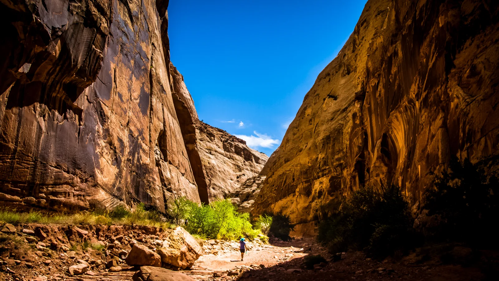 A solitary hiker on a sandstone ridge overlooking a vast canyon network in Southern Utah at golden hour.