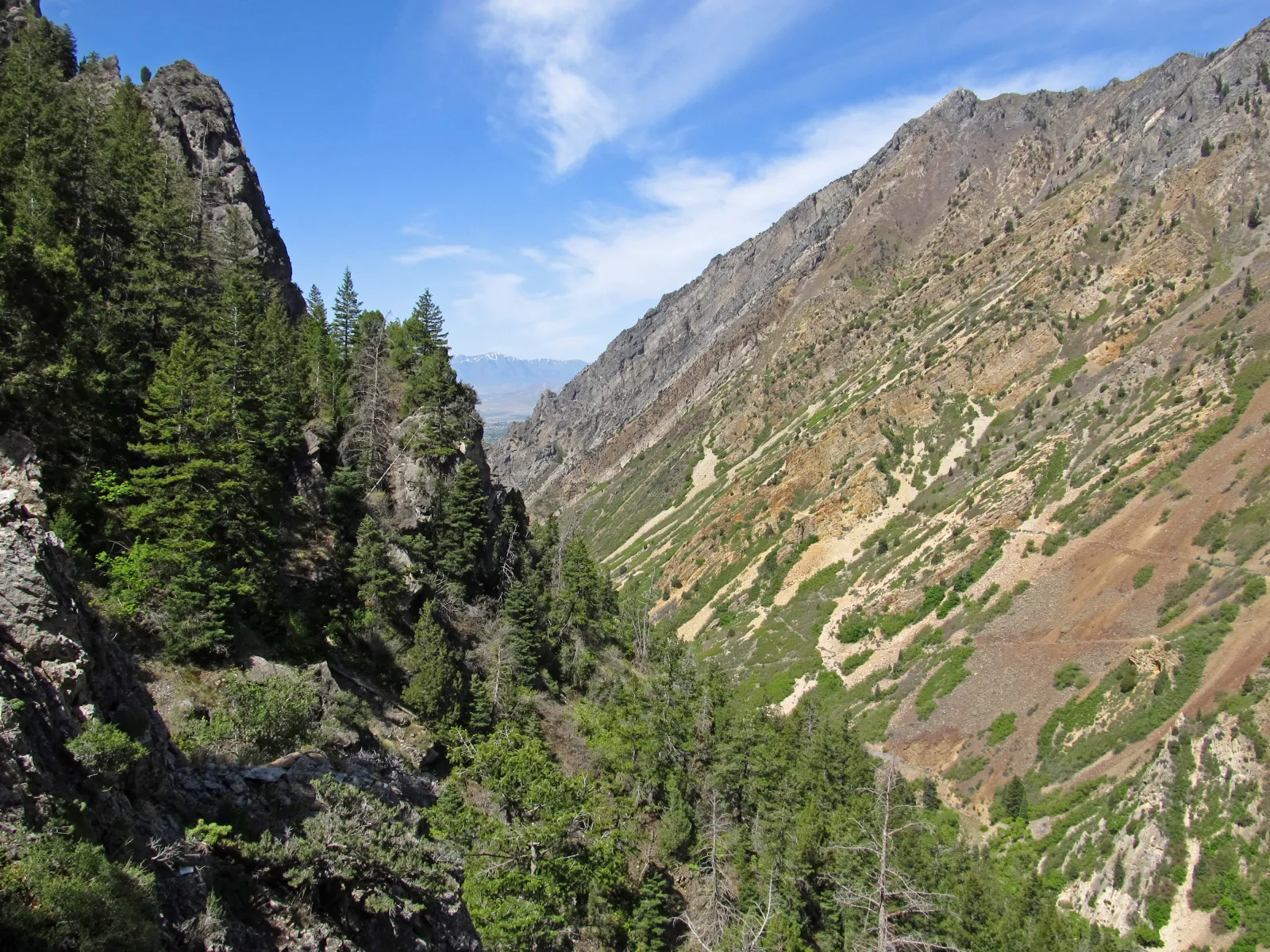 The view from the Timpanogos Cave entrance high on the wall of American Fork Canyon — steep forested slopes and rugged limestone cliffs dropping to the valley floor far below, under a blue sky, in the Wasatch Mountains of northern Utah.